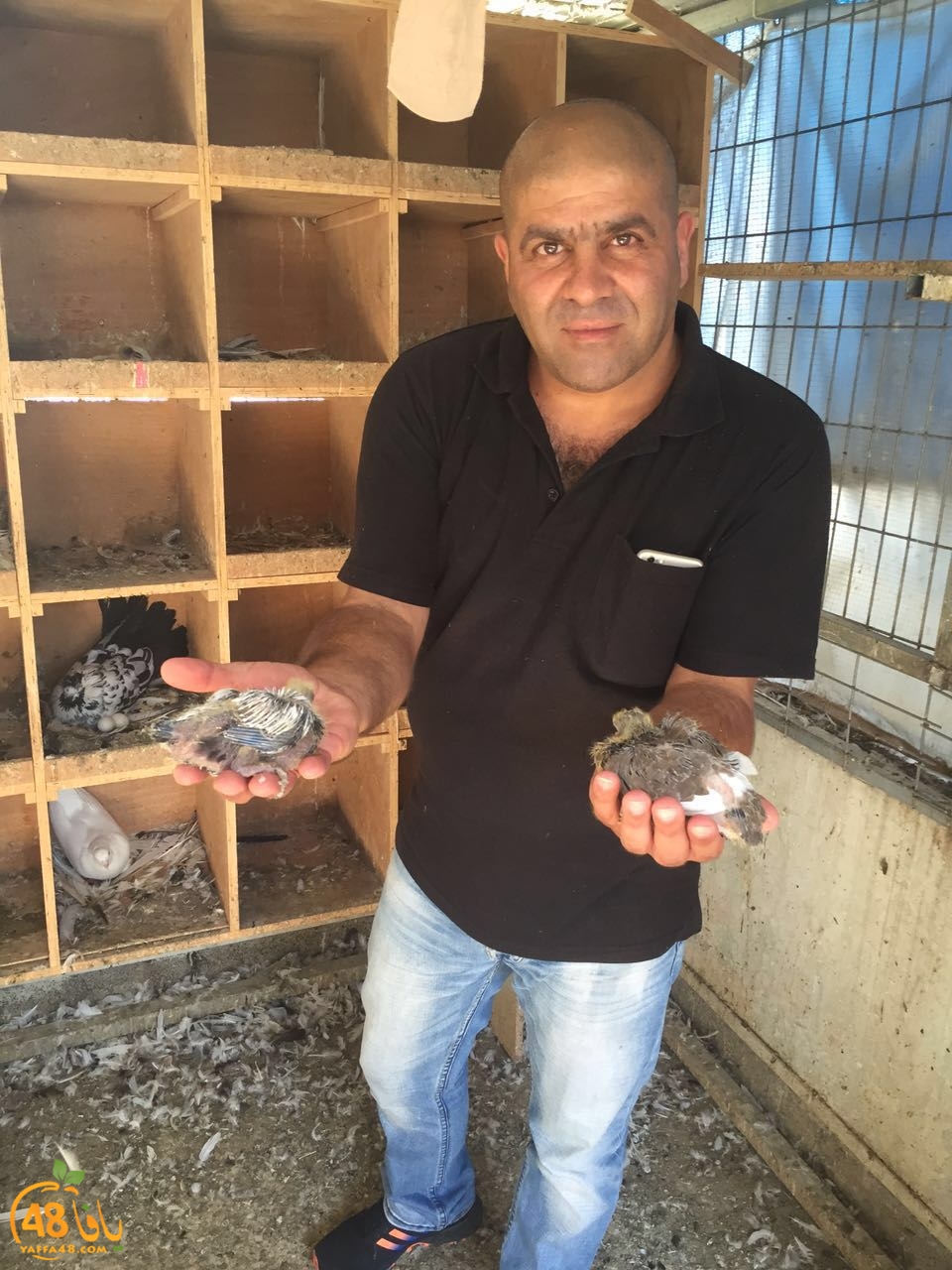 zohdy 3ashor (8).jpg